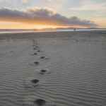 10 minute guided walking meditation. Includes walking meditation benefits and instructions!